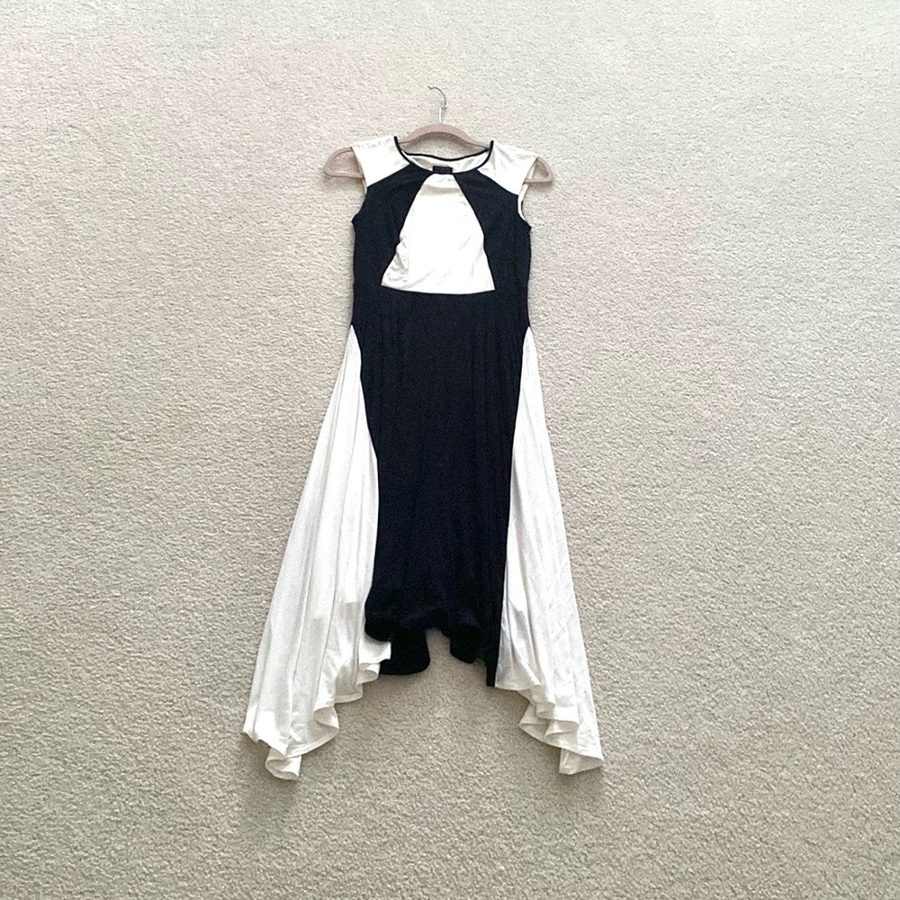 Elegant Black and White Dress - Picture 5 of 6